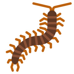 centipede bug insect animal