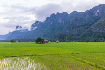 Obraz premium Nature is still peaceful and beautiful in Laos PDR.
