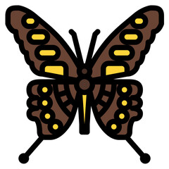 giant swallowtail butterfly bug insect animal