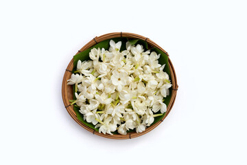 Thai jasmine flower on white background.