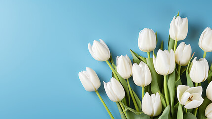 Beautiful tulip bouquet on a colorful background