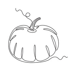 Pumpkin one line art,continuous contour drawing,hand-drawn gourd,vegetarian food, proper nutrition, healthy diet outline.Haloween or thanksgiving design decoration.Editable stroke.Isolated.Vector