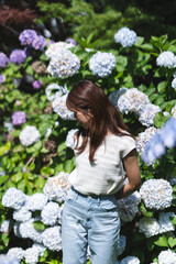 Fototapeta premium 紫陽花と女性