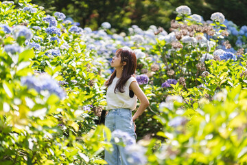 紫陽花と女性