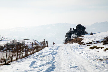 A human on the snowy path.