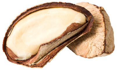 Obraz premium Two brazil nuts isolated on white background.