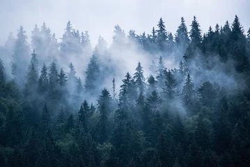 Printed roller blinds Morning with fog Misty mountain landscape