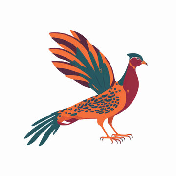 pheasant vector illustration isolated on white background