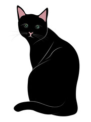 black cat drawing, png