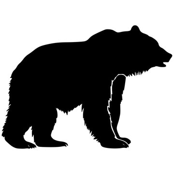 Bear Hand drawn Silhouette . Vector isolated on white graphic element. Wild animal symbol. Retro print design.