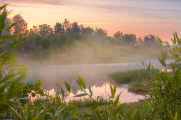 Fototapeta na wymiar Foggy morning on the river. Morning fog shrouds the trees on the shore and floats above the surface of the water. Sunrise on the river. Picturesque landscape of Russian nature.