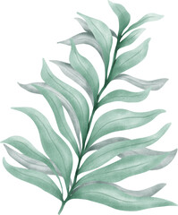 beautiful leaf flower hand draw watercolour element