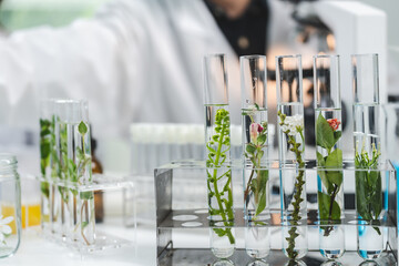 botany science laboratory, green plant experiment for medicine biology or biotechnology, scientist...
