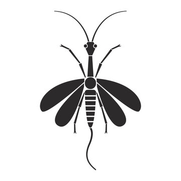 Insect order raphidioptera snakefly  geometric icon vector illustration