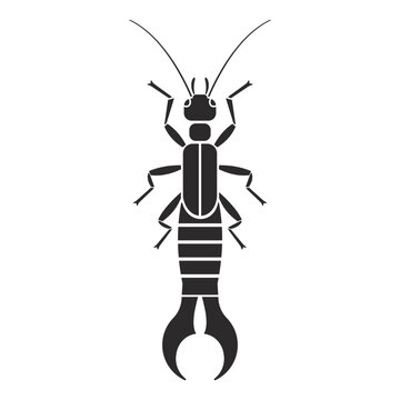 Insect order dermaptera earwig geometric icon vector illustration