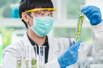 plant science laboratory research, biological chemistry test, green nature organic leaf experiment...
