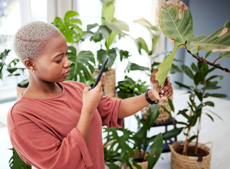 Woman with phone, mobile app and plants care in home, nature and gardening with future technology....