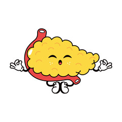 Pancreas doing yoga character. Vector hand drawn traditional cartoon vintage, retro, kawaii character illustration icon. Isolated on white background. Pancreas relax character