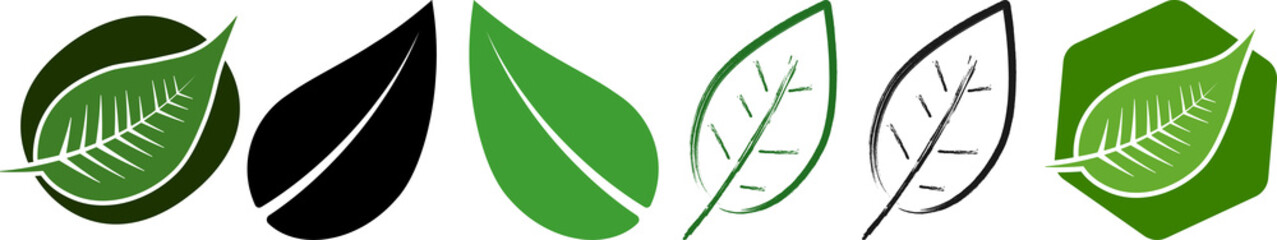 Leaf icons on transparent background, PNG illustration