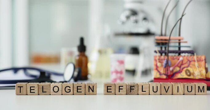 Causes of telogen effluvium and prevention and structure of skin and hair. Scalp disease is characterized by thinning or hair loss as result of early appearance of hair in telogen phase