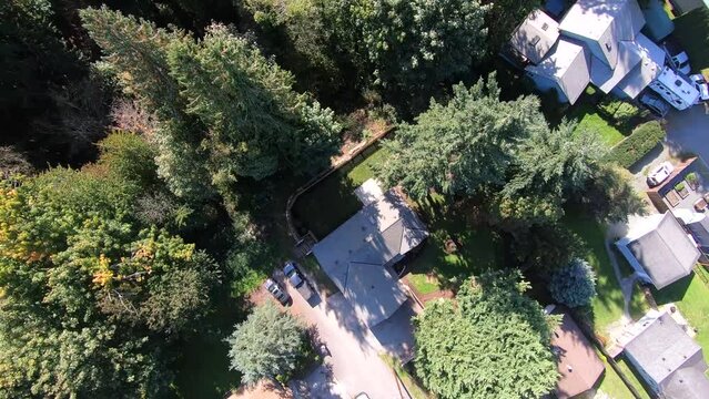 Aerial view of a charming house and its well-manicured garden in Seattle, Washington. The drone captures the neighborhood's picturesque houses surrounded by lush pine forests.