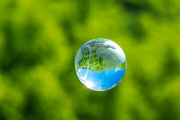 crystal glass globe on a green grass