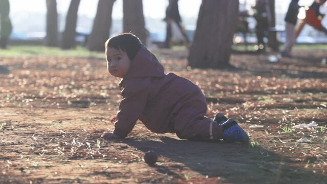 Cute baby boy crawling on the ground in the park
