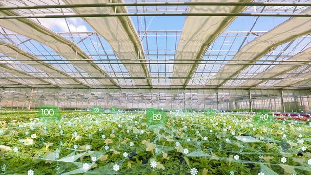 Artificial intelligence in flower greenhouses. Agribusiness concept. Greenhouse visualization. The concept of a modern greenhouse