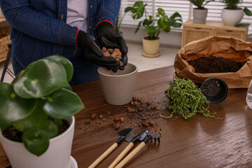 Woman in gloves filling flowerpot with drainage at wooden table indoors, closeup. Transplanting houseplants