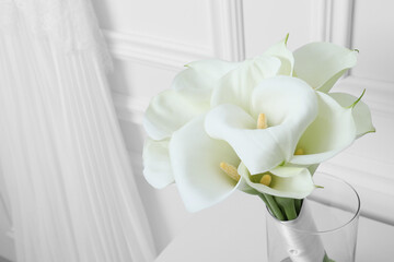 Beautiful calla lily flowers in glass vase near white wall, closeup. Space for text