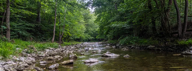 Gordijnen Bos rivier river in the green forest  © babaroga
