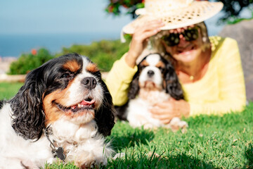 Blurry elderly smiling woman lying in the park with her two cavalier king charles dogs. Mature lady and her best friends