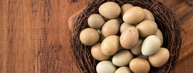 Fresh button quail eggs in a nest on wooden table background.