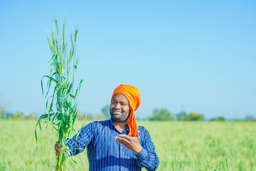Naklejka na ściany i meble young indian farmer showing green wheat at farm.