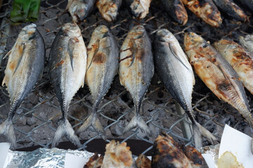 Grilled mackerel lined up on the grill.