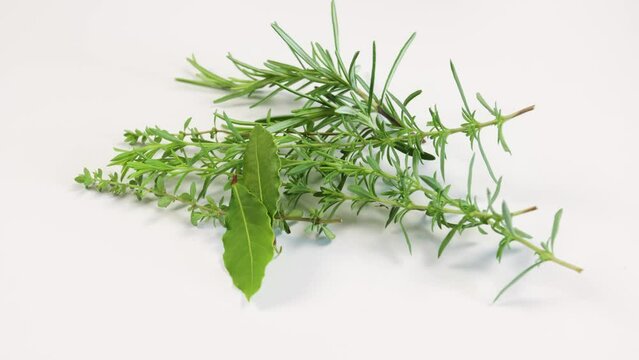 herbes aromatiques isol&eacute;es sur un fond blanc