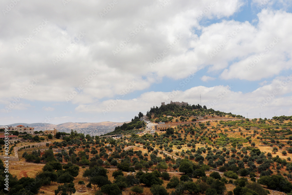 Wall mural an old historical castle - ancient ajloun castle in jordan (islamic arabic history)