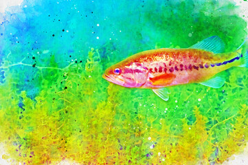 Digitally created watercolor painting of a largemouth bass swimming in an inland lake