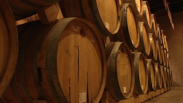 Wine or cognac barrels in cellar of winery, Wooden wine barrels in perspective. wine vaults. vintage oak barrels of craft beer or brandy.