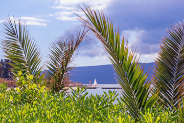 Fototapeta premium Beautiful Mediterranean landscape. Montenegro, Adriatic Sea, view of Kotor Bay near Tivat city