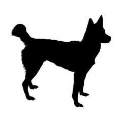 Standing Siberian Husky Silhouette Good To Use For Element Print Book, Animal Book and Animal Content
