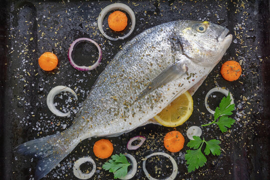 Mediterranean seafood. Fresh raw fish of sea bream on black baking sheet