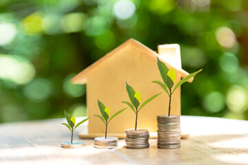 Investor of real estate.  The plants growing on money coin stack for investment home.  Â Investment mortgage fund finance and interest rate home loan,  green nature background Investment Concept