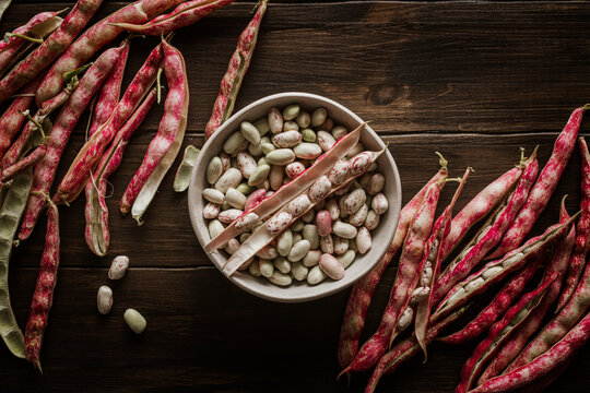 Cranberry beans. Borlotti beans in bowl. Beans pods.