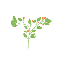 Watercolor Style Green Plants