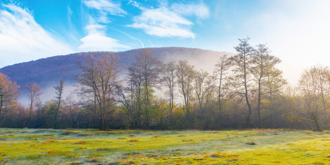 countryside landscape in mountains at sunrise. fog rolling in the rural valley among the trees on a grassy meadow in morning light. wonderful autumn nature scenery on a sunny weather day