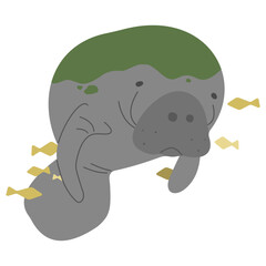 Obraz premium Manatee Single 5 cute on a white background, vector illustration