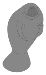 Manatee Single 16 cute on a white background, vector illustration