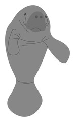 Manatee Single 15 cute on a white background, vector illustration