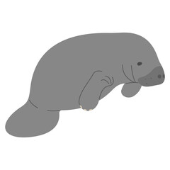 Manatee Single 10 cute on a white background, vector illustration